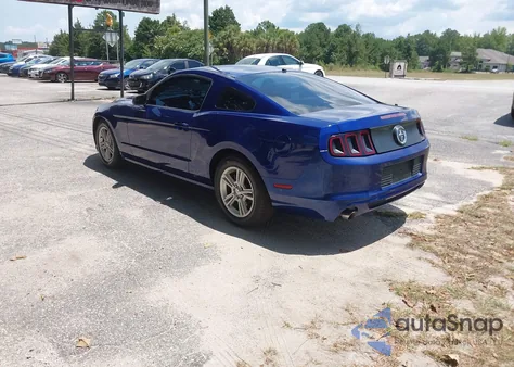 2014 Ford Mustang V6 z USA, uszkodzony, nr VIN 1ZVBP8AM0E5218869